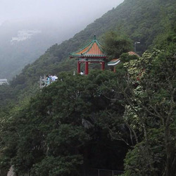 Next: HK Victoria peak