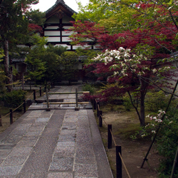 02-Kyoto_-_allee