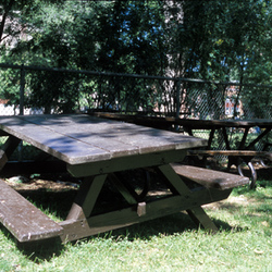 04-Montreal_-_Plateau_Mont_Royal