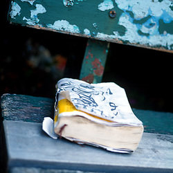01-Livre_sur_un_banc