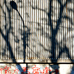 04-Ombres_et_graffitis