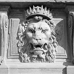 previous: Firenze   Lion du Palazzo Pitti
