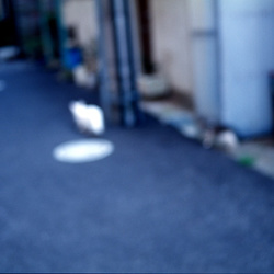 04-Chat