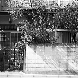 14-Ebisu