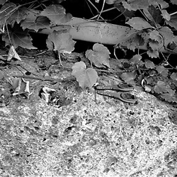19-cles_sur_un_muret