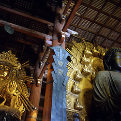 previous: Todaiji   Buddhas