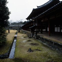 Next: Todaiji