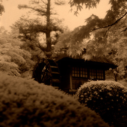 03-Hakone_-_Fujiya-20060514.jpg