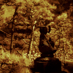 05-Kamakura_-_Lotus_Buddha-200604.jpg