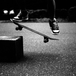 Skateboard