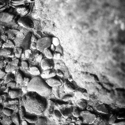 previous: Pebbles