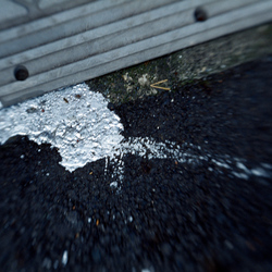 06-White_Paint