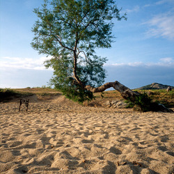 Next: Lumio Beach