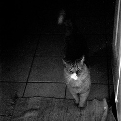 Next: Emile at the Door