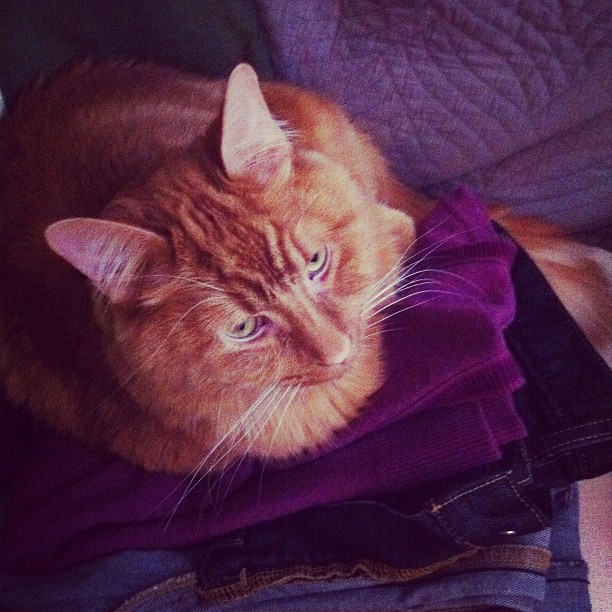 Yes, they're your clothes. So? Yes, they're your clothes. So?