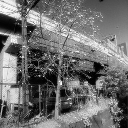 thumbnail: Minato, Tokyo, Jan 2006