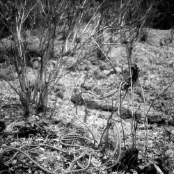 thumbnail: OOhirasan, Tochigi, Jan 2006