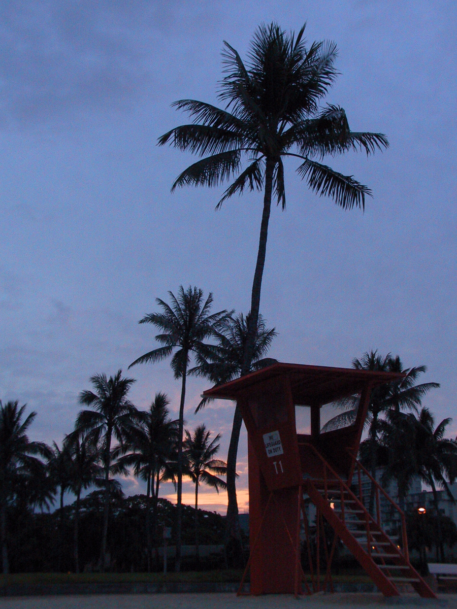 Photo: Palmiers sur la plage, Waikiki