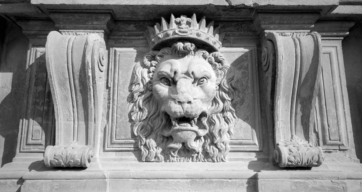 Photo: Firenze - Lion du palazzo pitti
