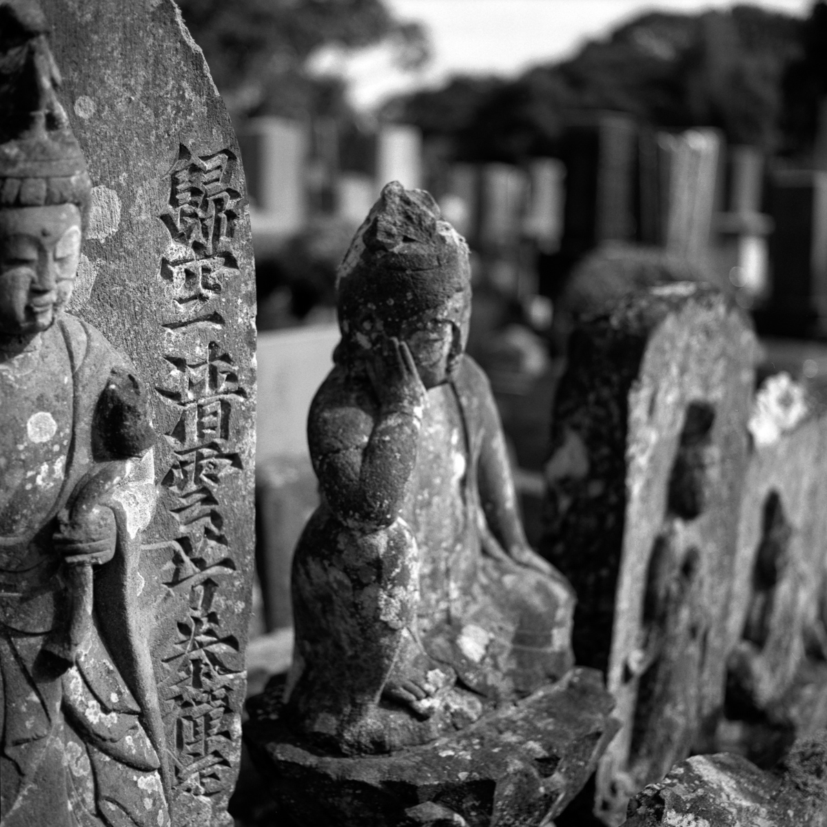 Photo: Buddha - Postures