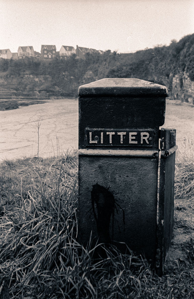Photo: Litter